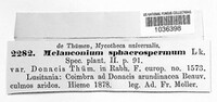 Apiospora sphaerosperma image
